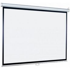 Экран для проектора Lumien Eco Picture LEP-100111 настенно-потолочный